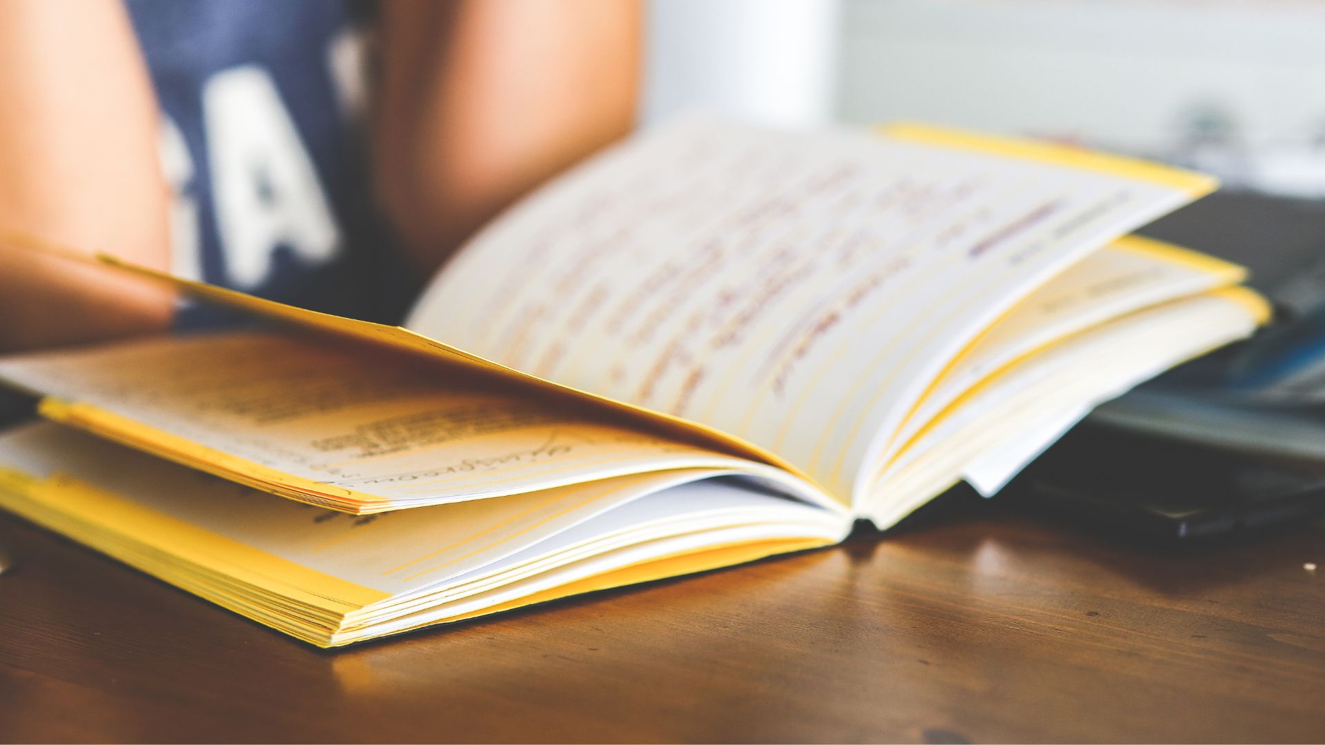 留学ポイント②：ニュージーランドの小中高の教育制度の仕組み