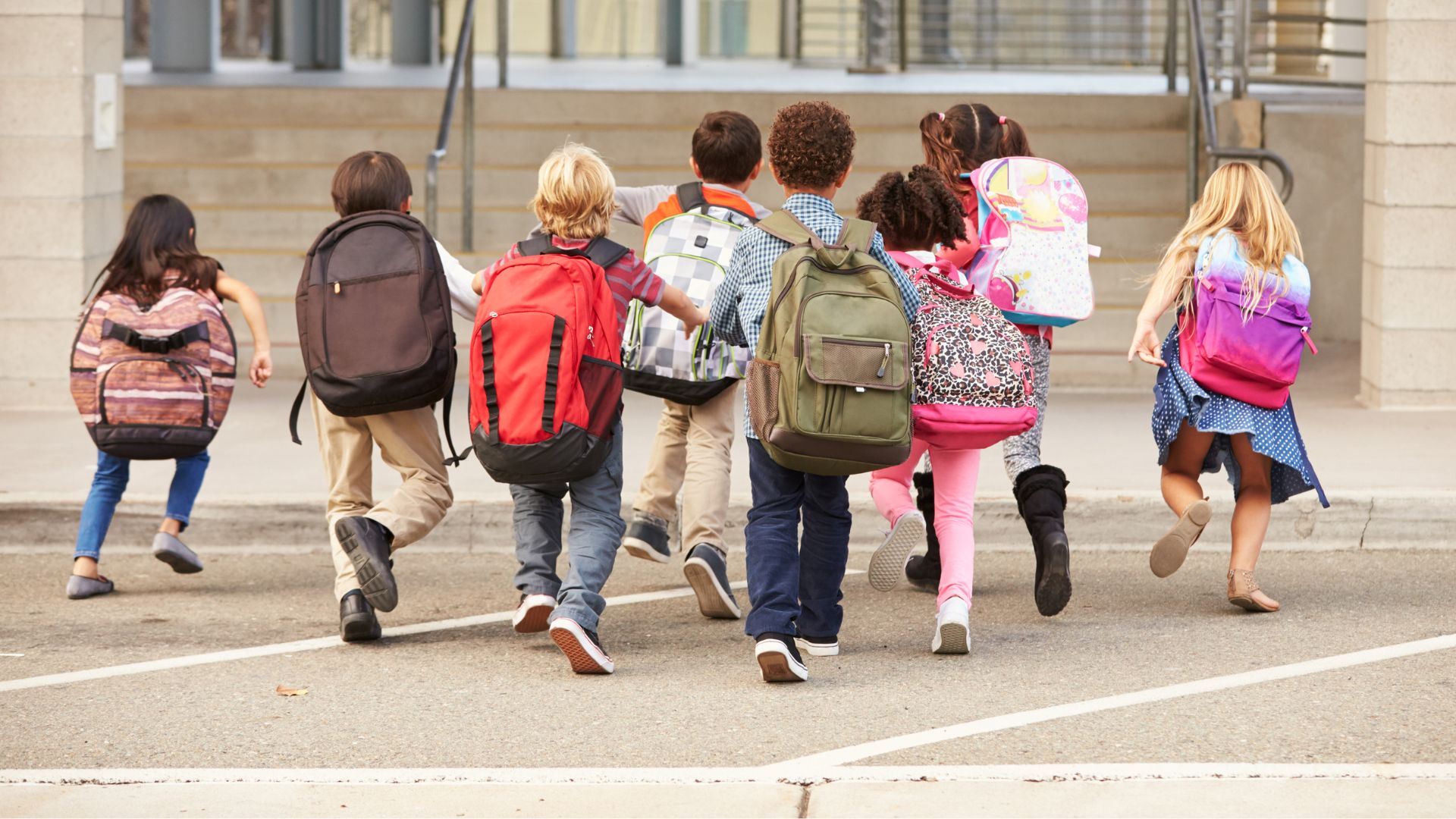 留学ポイント⑤：ニュージーランドの学校への入学方法