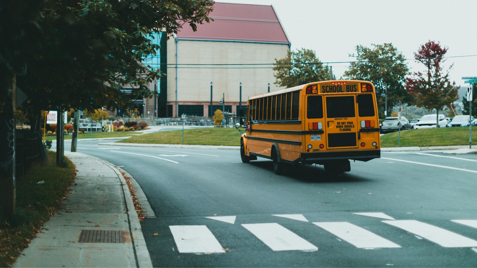 留学ポイント⑥：ニュージーランドの学校への通学方法