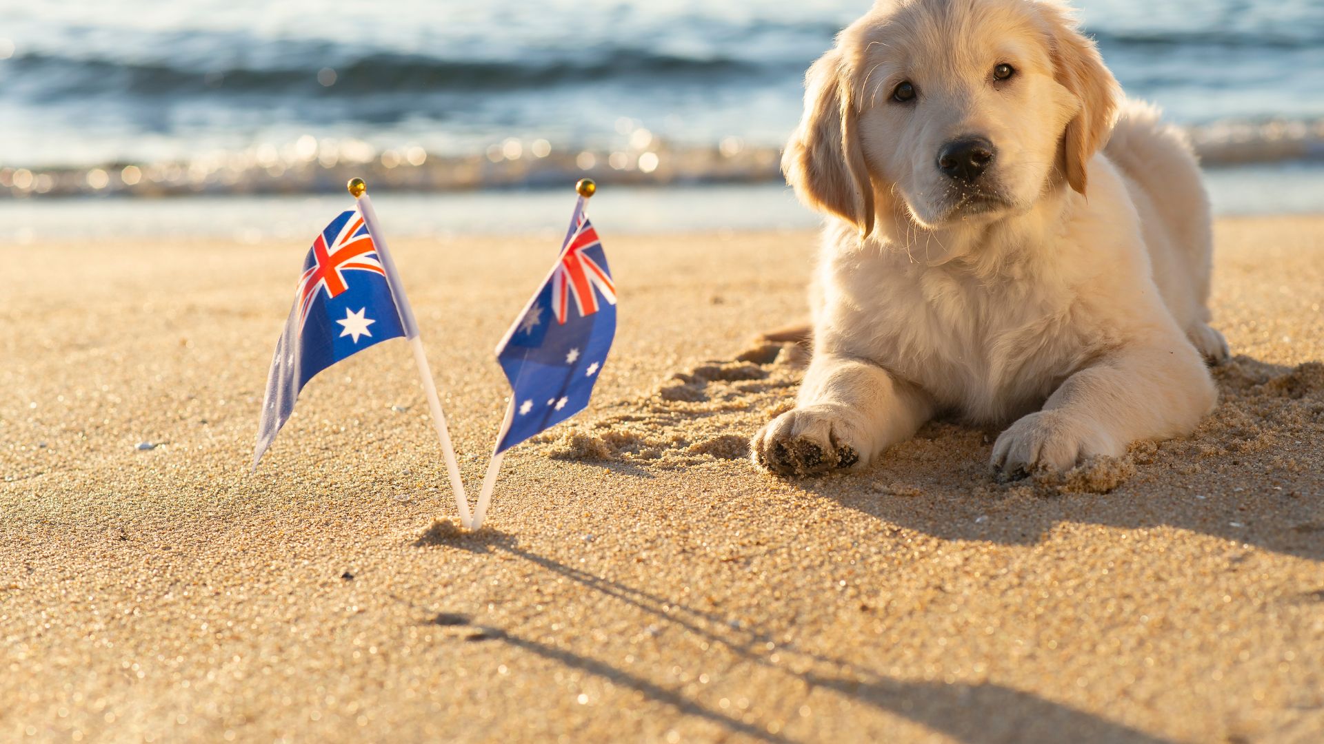 オーストラリアの高校の留学先の選び方
