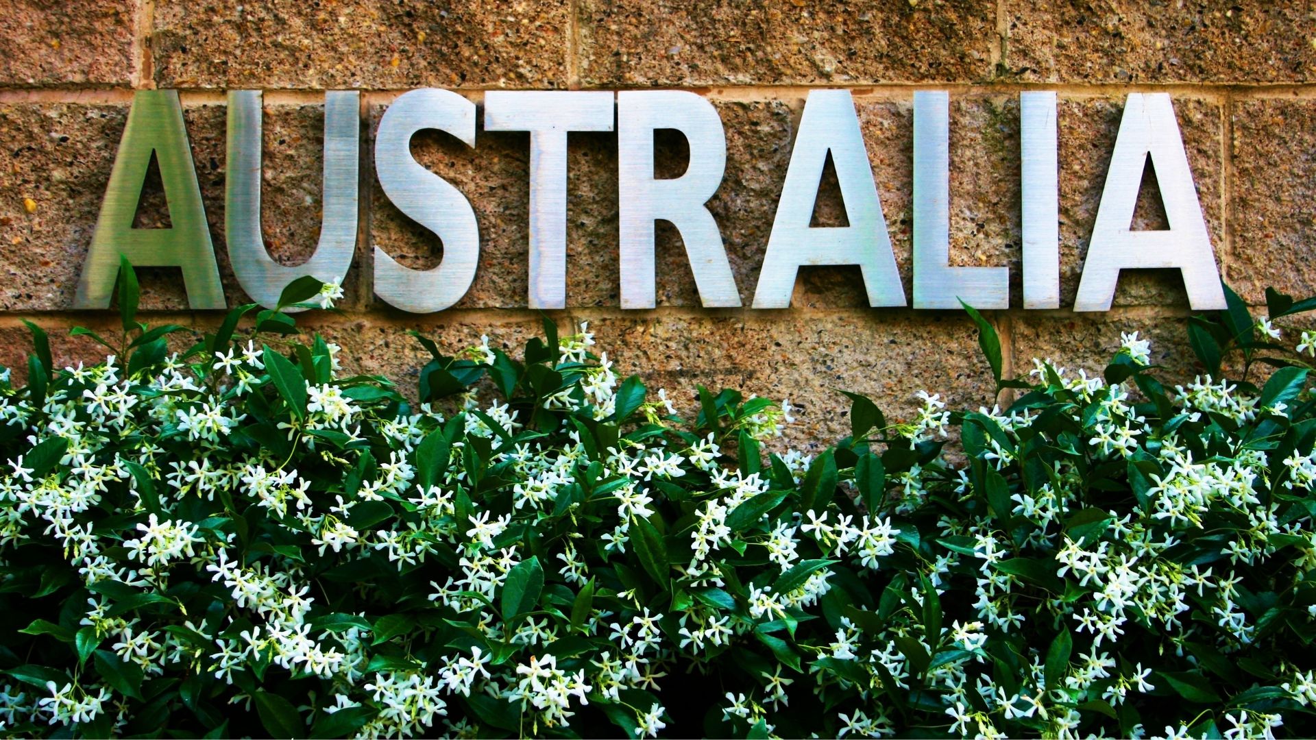 交換留学プログラムの種類