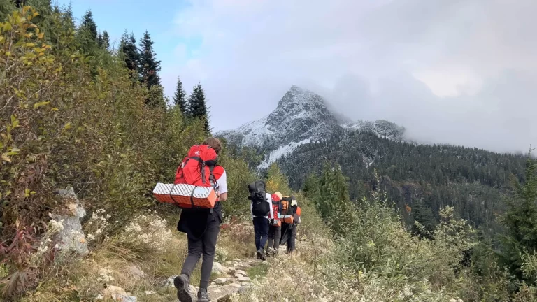 GPTempDownload-Motoha-scaled