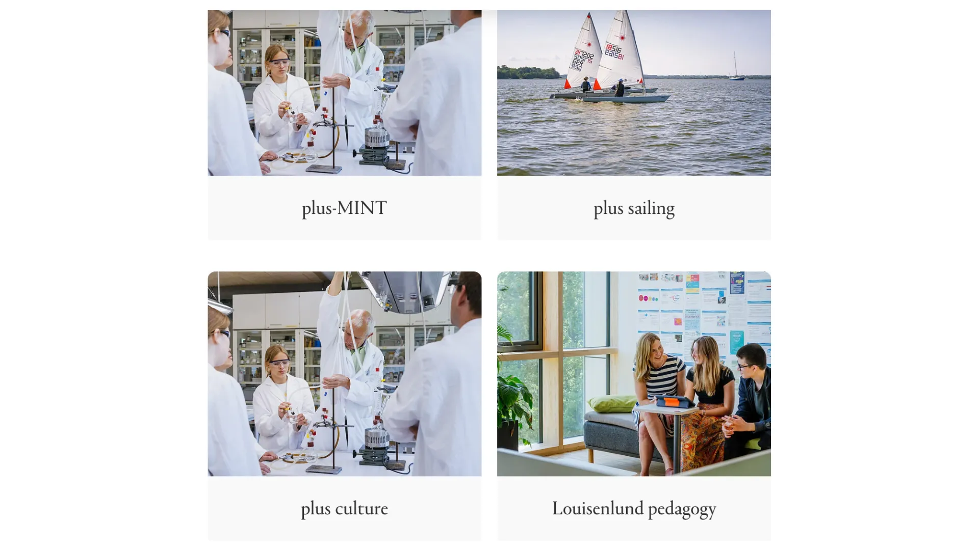 ④ plus-MINT・plus-Sailing・Leadership for Impact｜得意分野を伸ばす