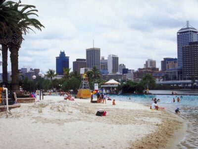 Your paragraph text (8)